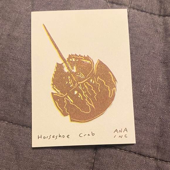 Inciardi Horseshoe Crab Mini Print - Picture 1 of 1